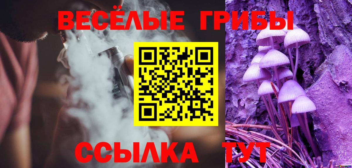 Псилоцибиновые грибы Psilocybine cubensis  магазин    Вход с VPN  Черкесск  Галлюциногенные грибы прущие грибы 