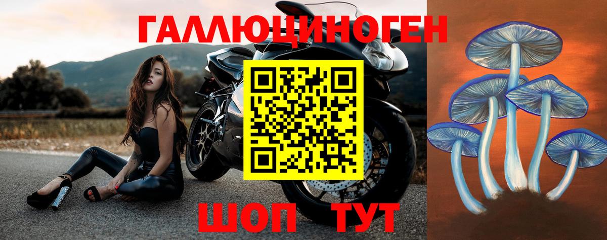 Галлюциногенные грибы Psilocybine cubensis Черкесск