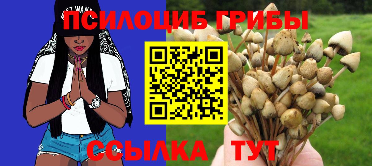 Псилоцибиновые грибы ЛСД  цена наркотик  Черкесск 
